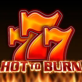 Hot To Burn by Pragmatic Play, showcased at wonacoocasino.com – game logo