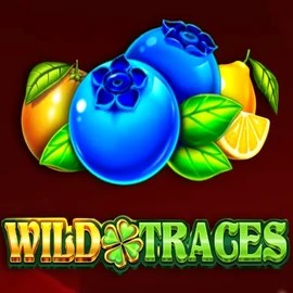 Wild Traces logo by Amusnet Interactive at Wonaco Casino