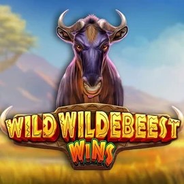Play Wild Wildebeest Wins slot by Pragmatic Play on wonacoocasino.com